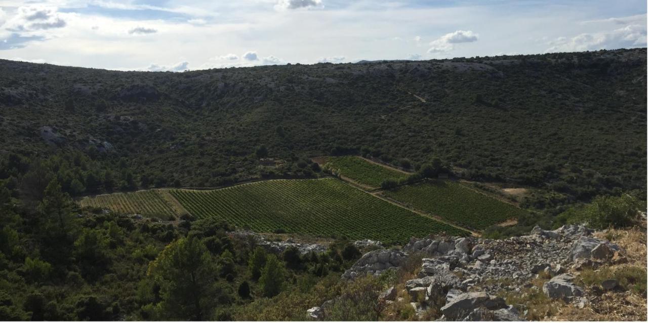 Roquefort-des-Corbières Domaine De La Clotte B&B 외부 사진